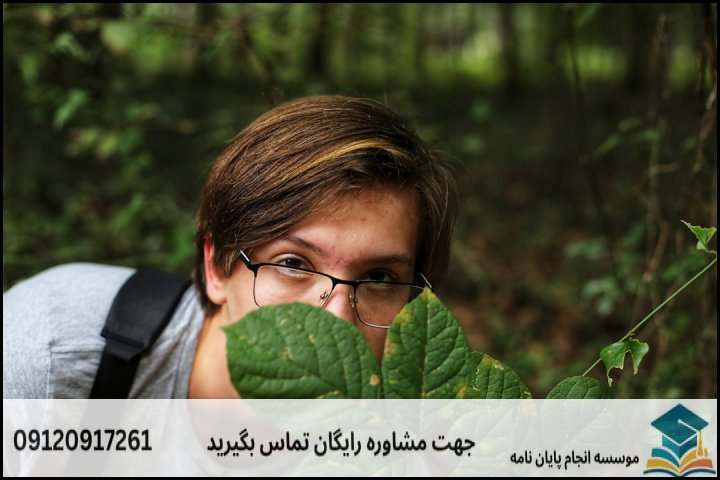 انجام پایان نامه کارشناسی ارشد رشته اقتصاد محیط زیست + تضمینی