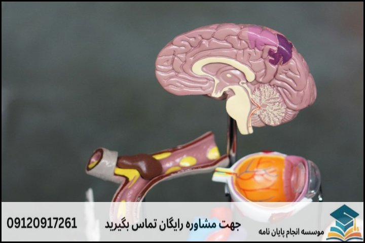 چیستی و تمایز پایان‌نامه روانشناسی ذهن، مغز و تربیت (MBE)
